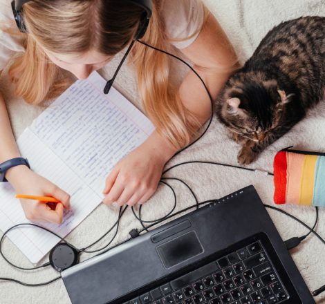 Cum să ferești cablurile de pisică: sfaturi utile