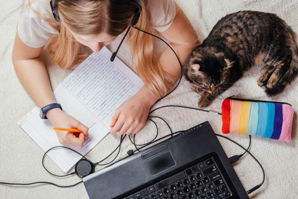 Cum să ferești cablurile de pisică: sfaturi utile