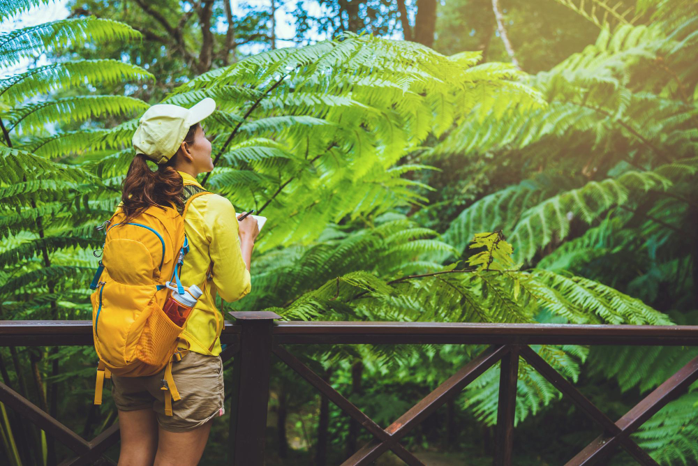 Cum să îți planifici o vacanță în Costa Rica