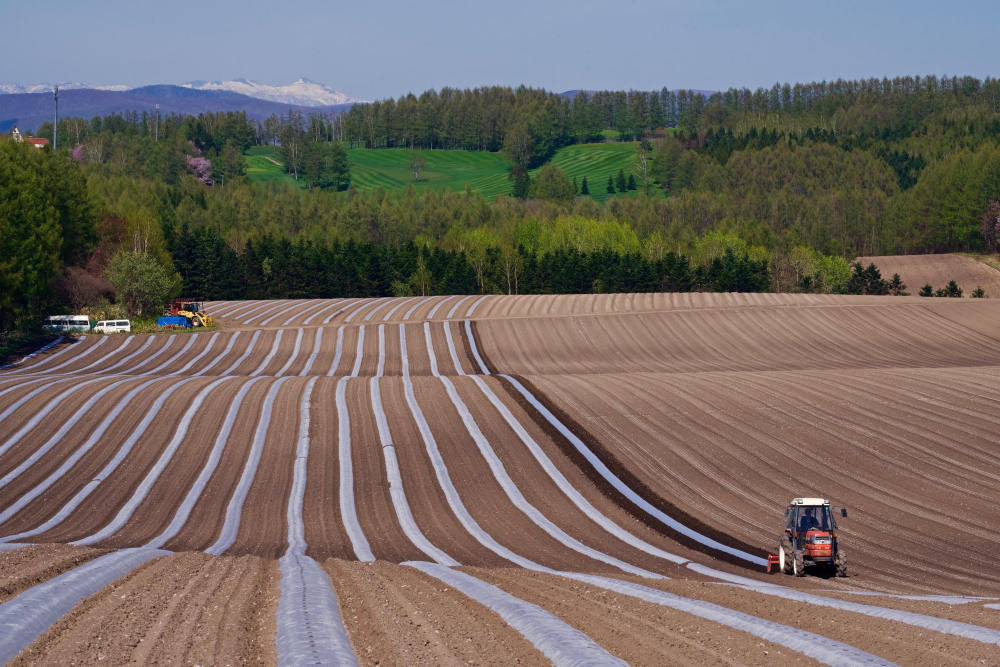 Agricultura de subzistență în zone rurale